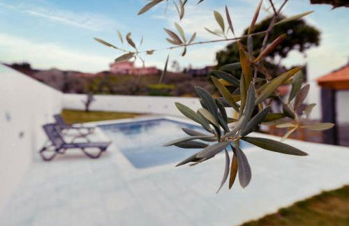 Pomar das Oliveiras - Private Swimming pool - Free EV Chrg - Pet Friendly - Foto 76