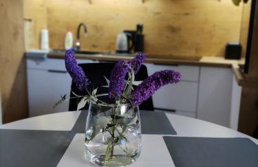 Apartament Szumi Las Kletno - Foto 23