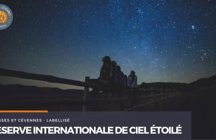 Alberguiere - Piscine chauffée - plancha - barbecue - Foto 7