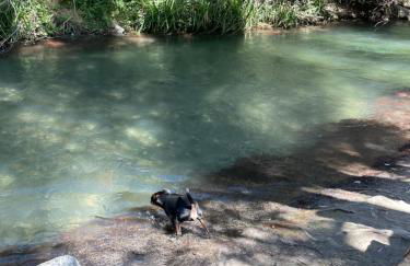 Apartamento RUTA DEL VELETA - Foto 50