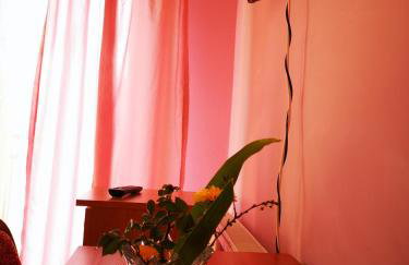 Agroturystyka w Dolinie Narwi - Photo 57