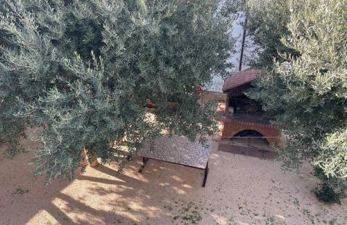 my home Promajna - Foto 46