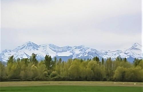 Tarbes Immeuble résidentiel labelisé et classé Proche des Halles Marcadieu et Brauhauban et du Parc des expositions - Appartements Appaloosa T2 Rdc et Pyrénéa T2 au 1er étage avec terrasse couverte -Parking gratuit- - Photo 14