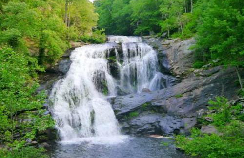 Tellico Nature Cabin - Close to Skyway & Rivers - Foto 17