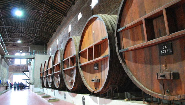 Excursión por las bodegas de Colonia Caroya - Foto 3