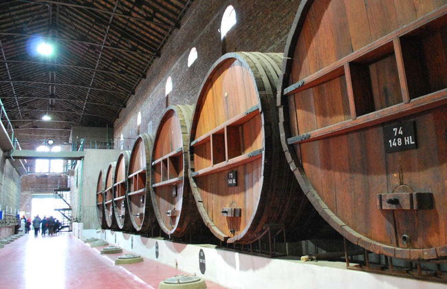 Excursão pelas adegas de Colonia Caroya - Photo 3