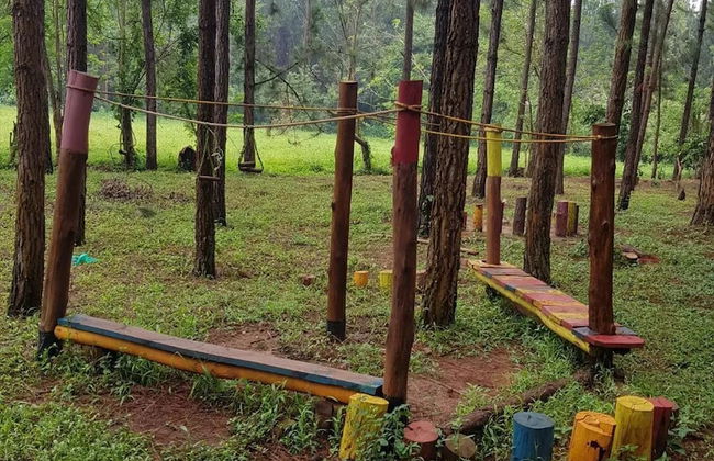 Nyungu Yamawe Forest Park - Foto 23