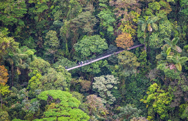 Entrada al Mistico Arenal Hanging Bridges Park - Foto 3