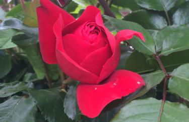 Keller´s Ferienwohnung an der Saale - Foto 30