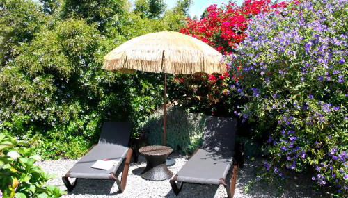 El Morro - Foto 2, Garden