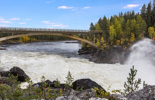 Lövgårdenin lohimaja - Foto 41