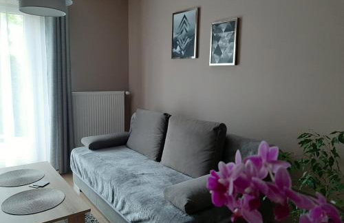 Apartamenty ,,Trzy Sosny'' Rymanów-Zdrój - Foto 22