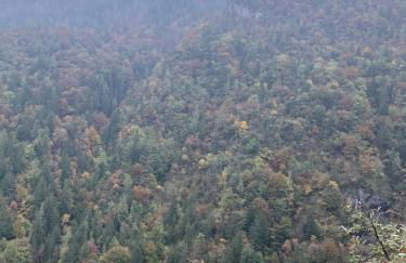 Casa Vacanze La Vite - Foto 38