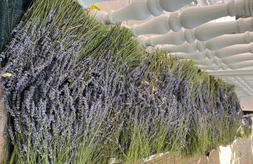 Apartments Petra - Photo 63