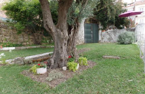 Ponto de Vista - Coimbra - Foto 20