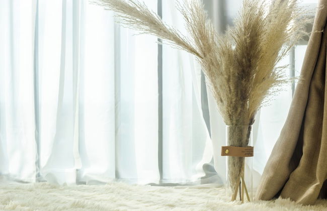 Xiwuju International - Foto 37