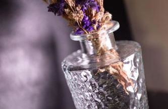 Nido di vetro - Foto 23