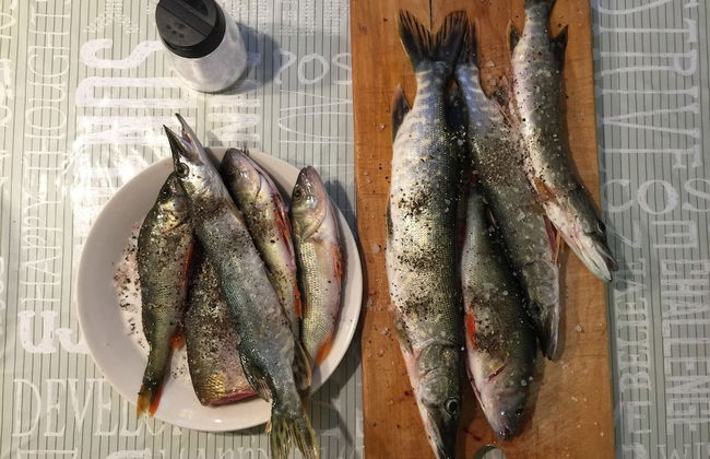 Köningsviken vacations in Sipoo - Foto 21