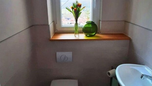 Under the District Administrator's Mountain - Foto 5, Casa de banho