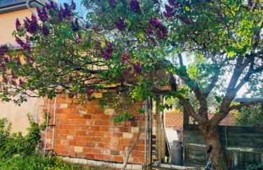 Apartment near Potsdam & Berlin - Foto 14