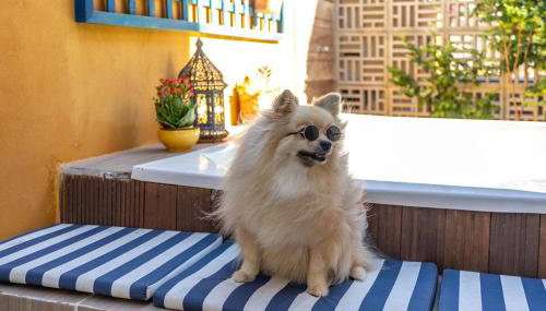 Casa_Mare11 - Photo 5