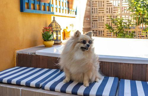 Casa_Mare11 - Foto 5