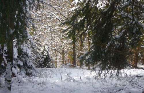 Ferienwohnung Quinkert - Foto 27