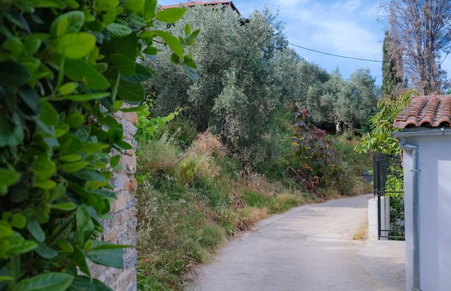 John s House - Chorto Pelion - Foto 34