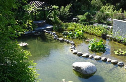 Maison du Lac - Foto 15