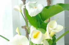 Loft Marea Bermeo - Foto 11