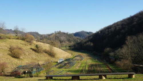 Agriturismo Corte del Maso - Foto 5, Garden view