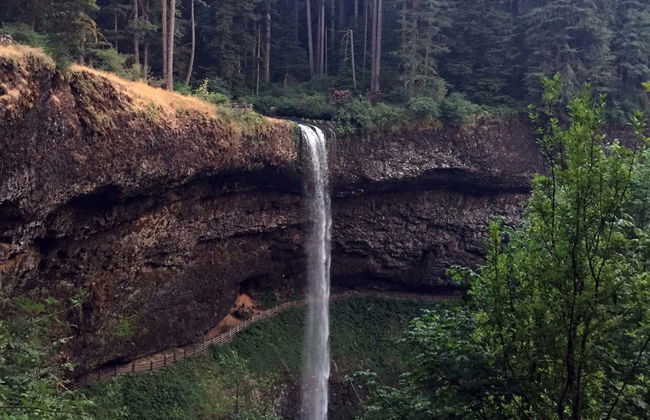 Excursión al Parque Estatal Silver Falls - Foto 5