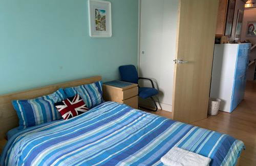 2 Bed Flat with Balcony - Zone 1 Central London - Foto 15