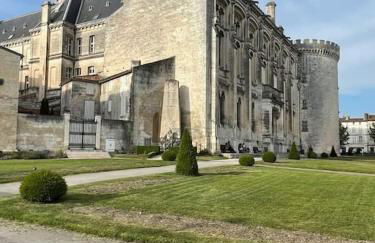 Appartement au cœur de la cité d'Angoulême - Foto 24