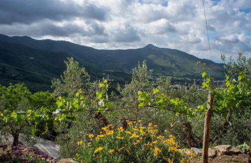 Podere del Pari - Foto 77