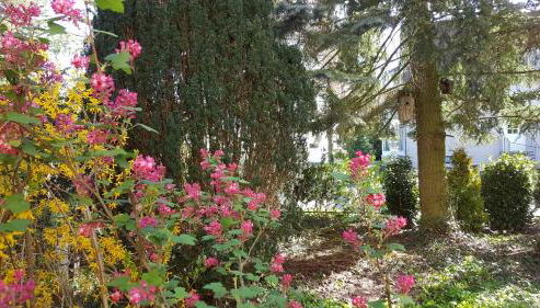 Ferienhaus Sanssouci - Foto 3