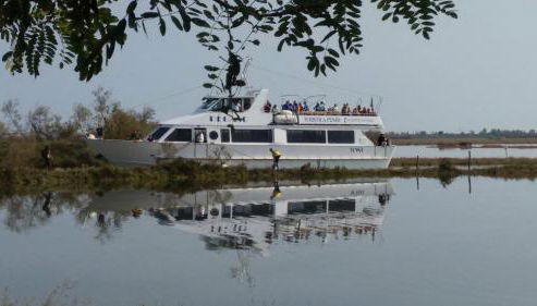 Agriturismo La Barena - Foto 5