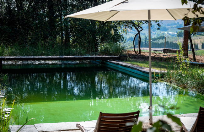 1 bedroom Apartment in Scandicci with swimming pool and garden - Photo 19