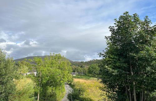 Bryn Rhedyn cottage - Foto 19