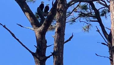 Villa 315 - The Eagles Nest - Foto 3