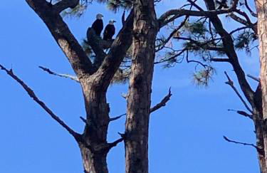 Villa 315 - The Eagles Nest - Foto 3