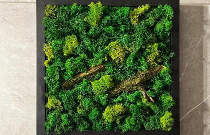 Moje Pieniny Apartament - Photo 37