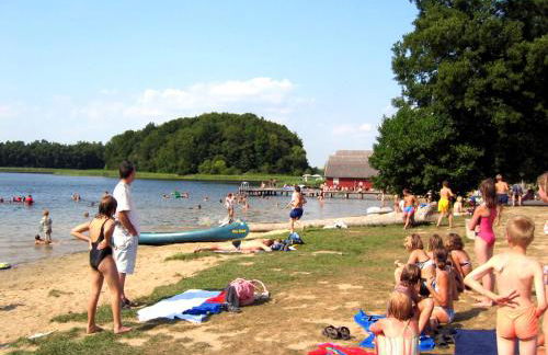 -Waldhaus-Fewo 4 - Foto 9