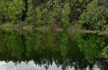 An den Sieben Seen - Foto 39