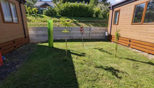 Mollys Lodge - Photo 4