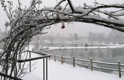 Az. Agr. Sponga Giancarlo - Foto 18