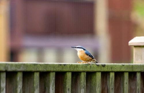 Greendale Splash Escape - No Commercial Sign written Vehicles,Fishing Nearby & Communal Swimming Pool Open April to September - Foto 17