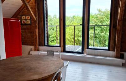 Osada Głębuczek - apartamenty w Beskidach - Foto 22