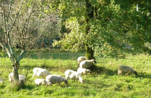 Fattoria Giunasco - Foto 114