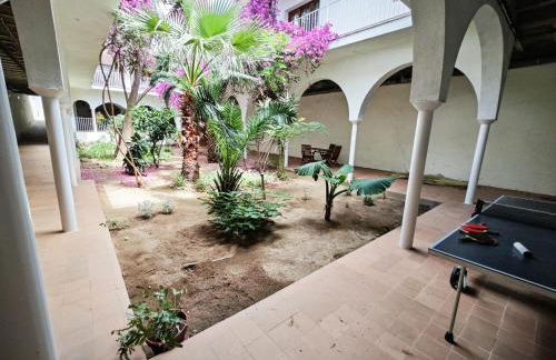 El Penell Estudi Mestral - Foto 21